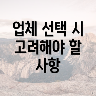 업체 선택 시 고려해야 할 사항