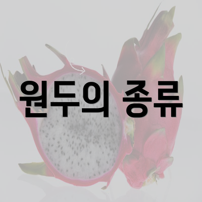 원두의 종류