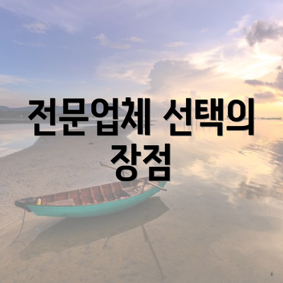 전문업체 선택의 장점