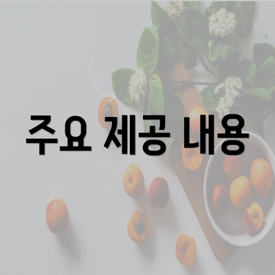 주요 제공 내용