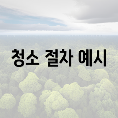 청소 절차 예시