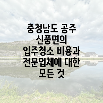 충청남도 공주 신풍면의 입주청소 비용과 전문업체에 대한 모든 것