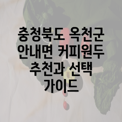 충청북도 옥천군 안내면 커피원두 추천과 선택 가이드