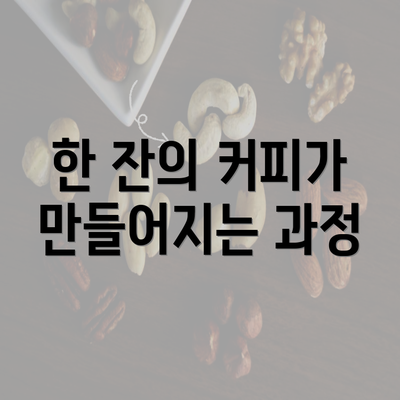 한 잔의 커피가 만들어지는 과정