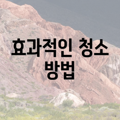 효과적인 청소 방법