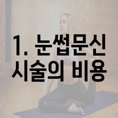 1. 눈썹문신 시술의 비용