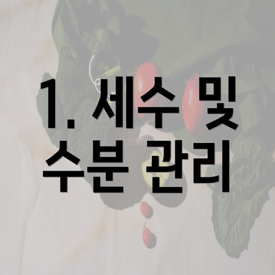 1. 세수 및 수분 관리