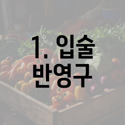 1. 입술 반영구