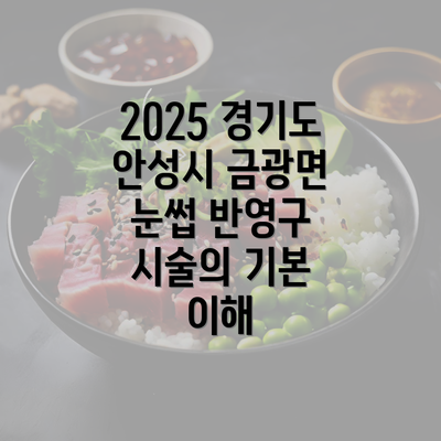 2025 경기도 안성시 금광면 눈썹 반영구 시술의 기본 이해