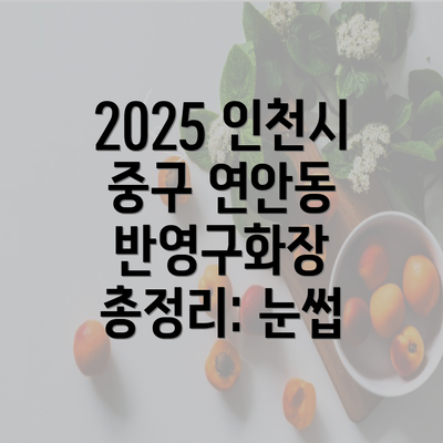 2025 인천시 중구 연안동 반영구화장 총정리: 눈썹