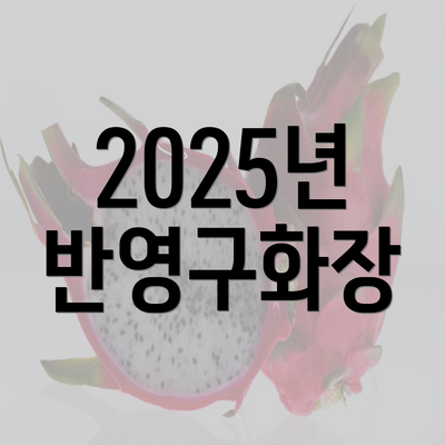 2025년 반영구화장