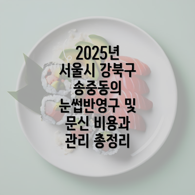 2025년 서울시 강북구 송중동의 눈썹반영구 및 문신 비용과 관리 총정리