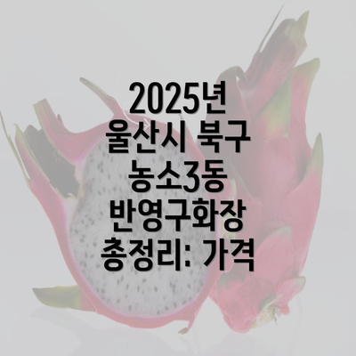 2025년 울산시 북구 농소3동 반영구화장 총정리: 가격