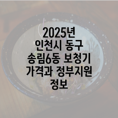 2025년 인천시 동구 송림6동 보청기 가격과 정부지원 정보