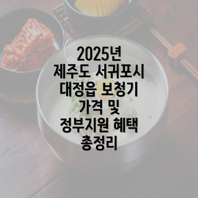 2025년 제주도 서귀포시 대정읍 보청기 가격 및 정부지원 혜택 총정리