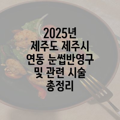 2025년 제주도 제주시 연동 눈썹반영구 및 관련 시술 총정리