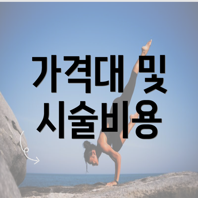 가격대 및 시술비용