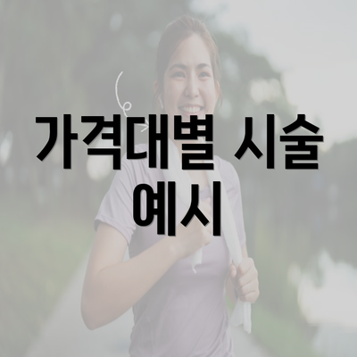 가격대별 시술 예시