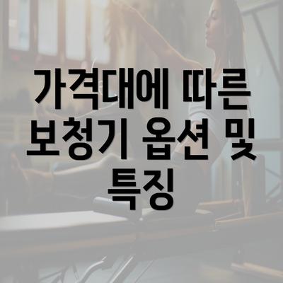 가격대에 따른 보청기 옵션 및 특징