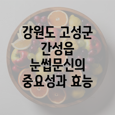 강원도 고성군 간성읍 눈썹문신의 중요성과 효능