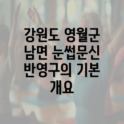 강원도 영월군 남면 눈썹문신 반영구의 기본 개요