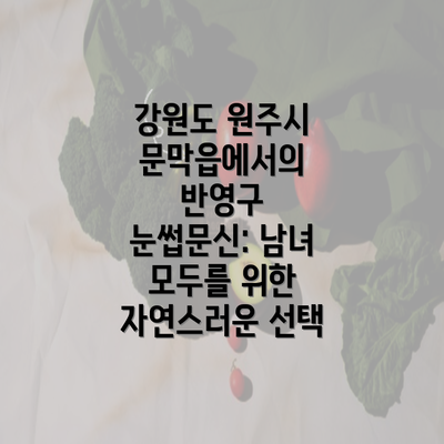 강원도 원주시 문막읍에서의 반영구 눈썹문신: 남녀 모두를 위한 자연스러운 선택