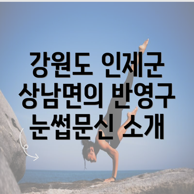 강원도 인제군 상남면의 반영구 눈썹문신 소개