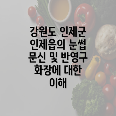 강원도 인제군 인제읍의 눈썹 문신 및 반영구 화장에 대한 이해