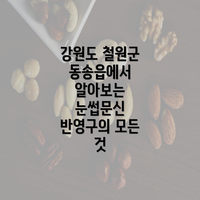 강원도 철원군 동송읍에서 알아보는 눈썹문신 반영구의 모든 것