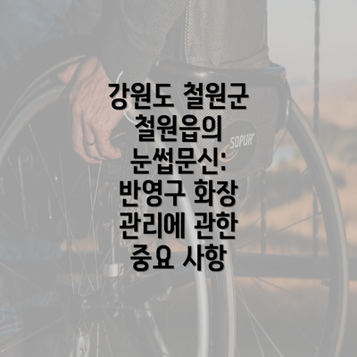 강원도 철원군 철원읍의 눈썹문신: 반영구 화장 관리에 관한 중요 사항