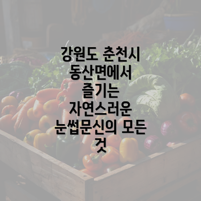 강원도 춘천시 동산면에서 즐기는 자연스러운 눈썹문신의 모든 것