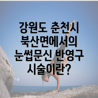 강원도 춘천시 북산면에서의 눈썹문신 반영구 시술이란?