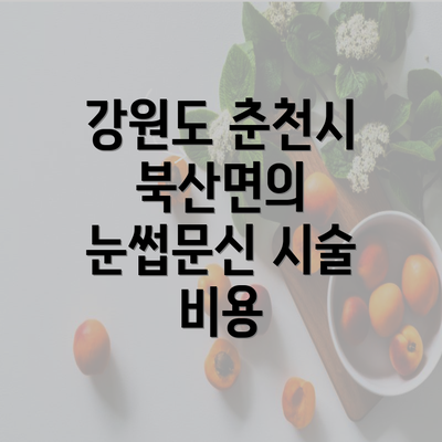 강원도 춘천시 북산면의 눈썹문신 시술 비용