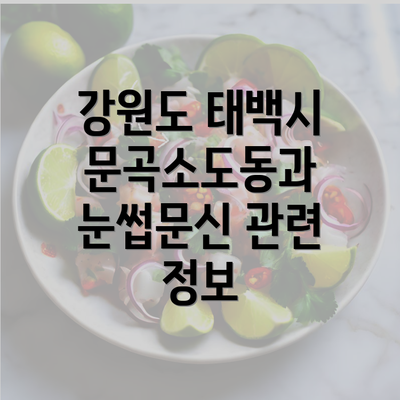 강원도 태백시 문곡소도동과 눈썹문신 관련 정보