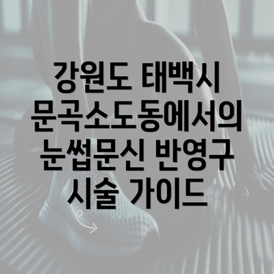 강원도 태백시 문곡소도동에서의 눈썹문신 반영구 시술 가이드