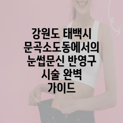 강원도 태백시 문곡소도동에서의 눈썹문신 반영구 시술 완벽 가이드