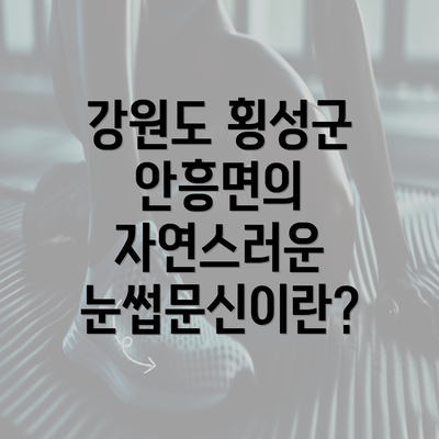 강원도 횡성군 안흥면의 자연스러운 눈썹문신이란?