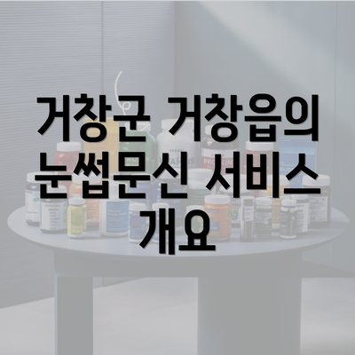 거창군 거창읍의 눈썹문신 서비스 개요