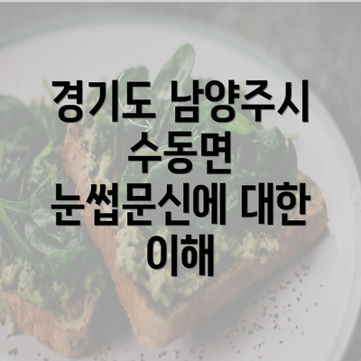 경기도 남양주시 수동면 눈썹문신에 대한 이해