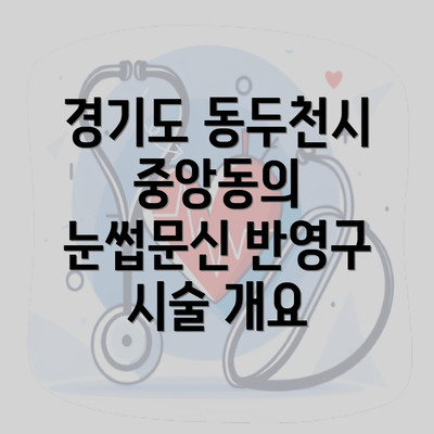 경기도 동두천시 중앙동의 눈썹문신 반영구 시술 개요