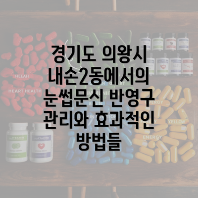 경기도 의왕시 내손2동에서의 눈썹문신 반영구 관리와 효과적인 방법들