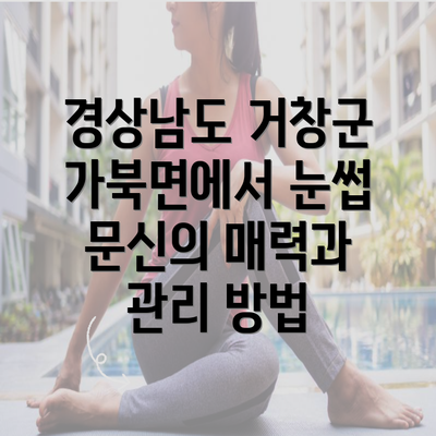 경상남도 거창군 가북면에서 눈썹 문신의 매력과 관리 방법