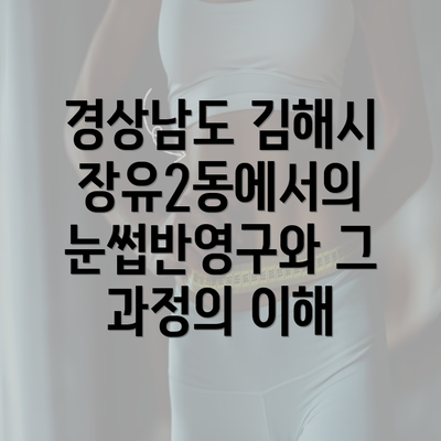 경상남도 김해시 장유2동에서의 눈썹반영구와 그 과정의 이해