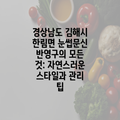 경상남도 김해시 한림면 눈썹문신 반영구의 모든 것: 자연스러운 스타일과 관리 팁