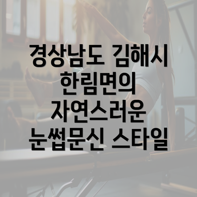 경상남도 김해시 한림면의 자연스러운 눈썹문신 스타일