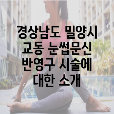 경상남도 밀양시 교동 눈썹문신 반영구 시술에 대한 소개