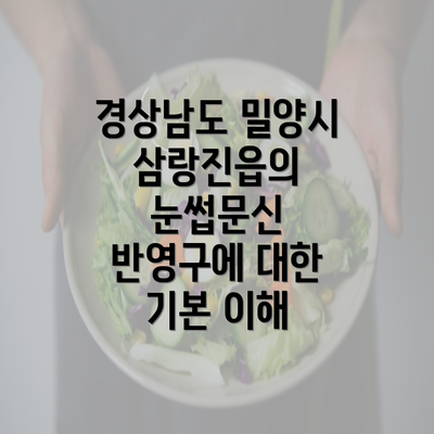 경상남도 밀양시 삼랑진읍의 눈썹문신 반영구에 대한 기본 이해