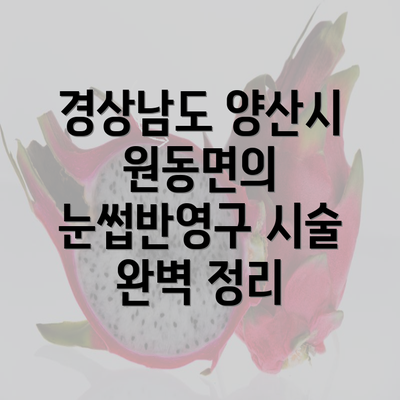 경상남도 양산시 원동면의 눈썹반영구 시술 완벽 정리