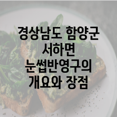 경상남도 함양군 서하면 눈썹반영구의 개요와 장점