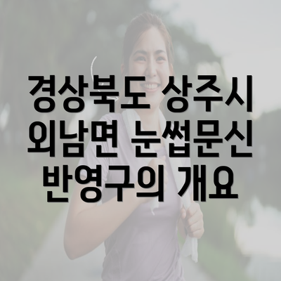 경상북도 상주시 외남면 눈썹문신 반영구의 개요